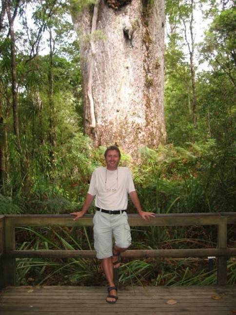 <i>Te Matua Ngahere - zweitgrter Baum</i>