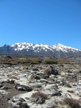 [Click to enlarge image]
