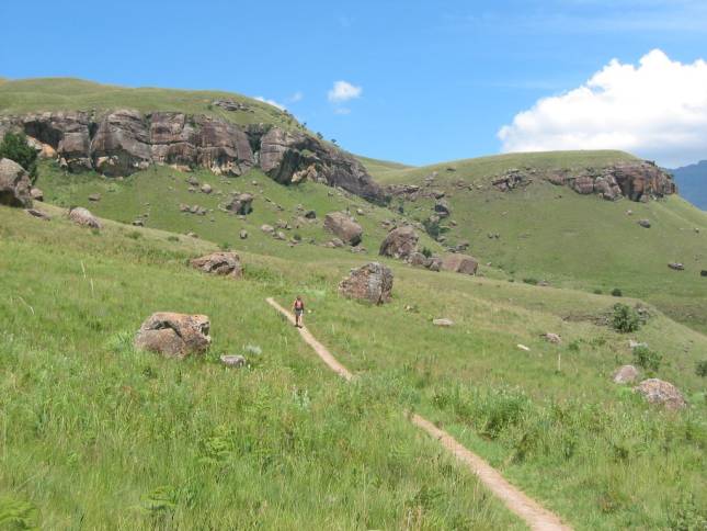 <i>Drakensberge</i>