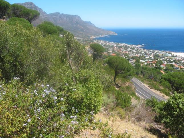 <b>Blick auf Clifton-Beach</b>