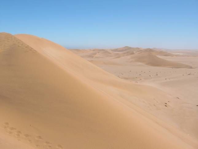 <b>Rundfahrt durch die Namib Wste</b>