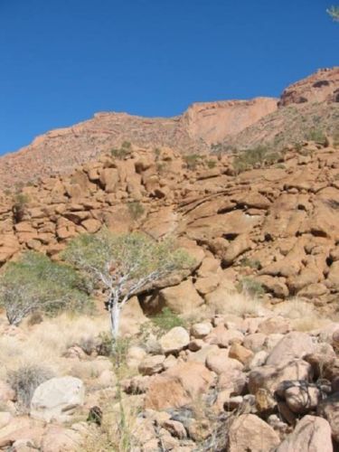 <b>Walk zur White Lady-Brandberg</b>